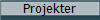 Projekter